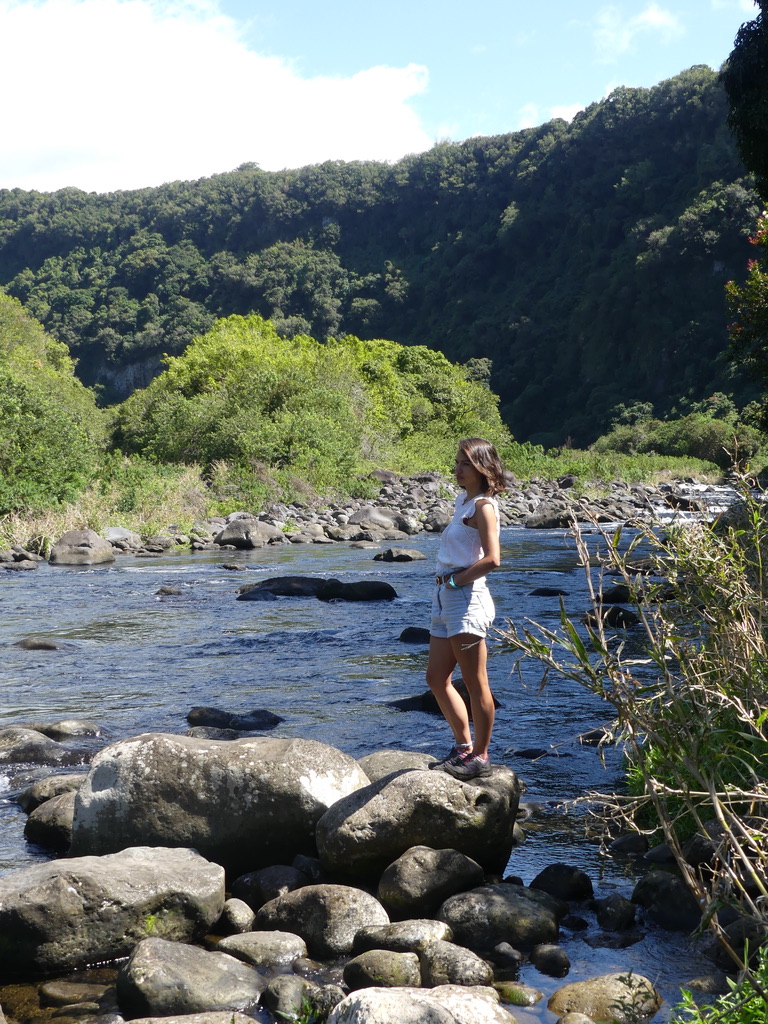 Bassin Réunion