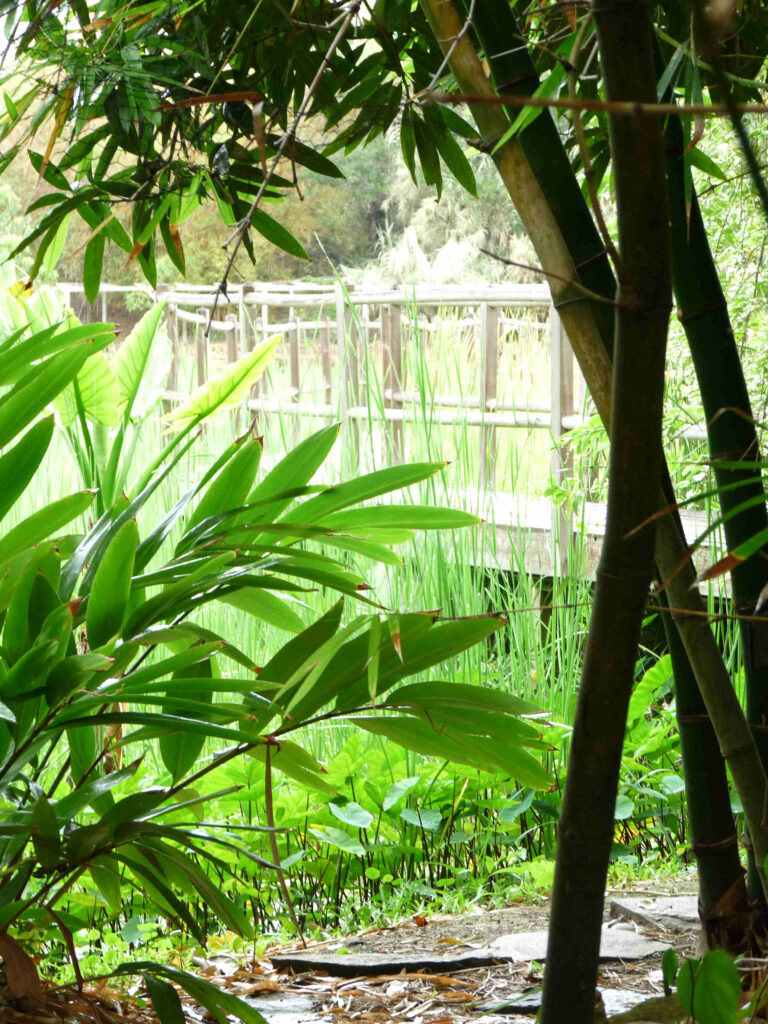 Jardin d'Eden Réunion