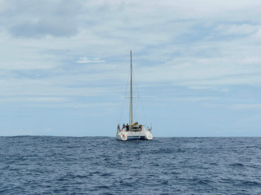 Sortie bateau Réunion