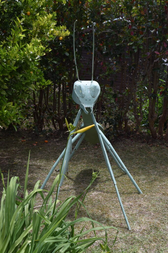 Jardin des bestioles