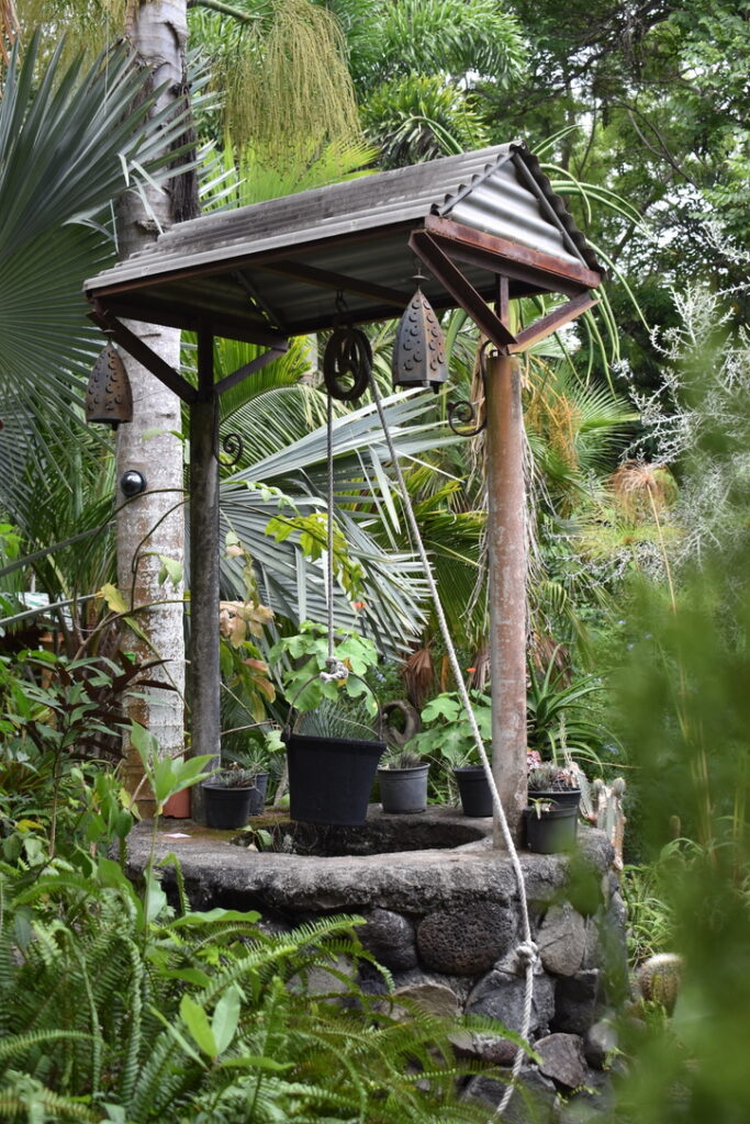 Jungle à Pat' Réunion