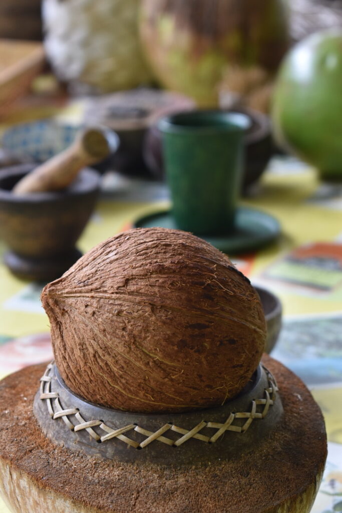 Maison du coco Réunion