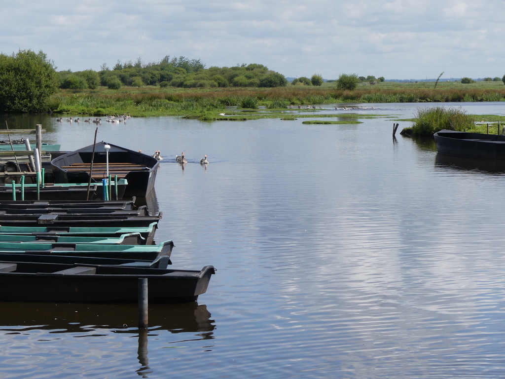 marais de Brière