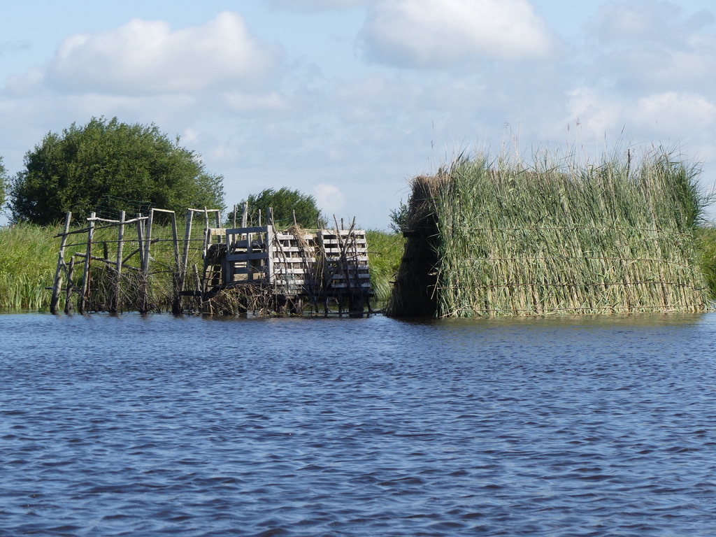 marais de Brière