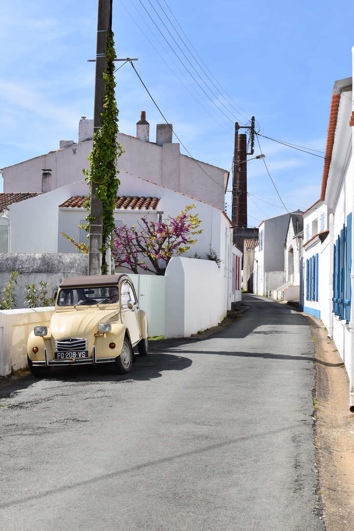 Port Joinville Ile dYeu