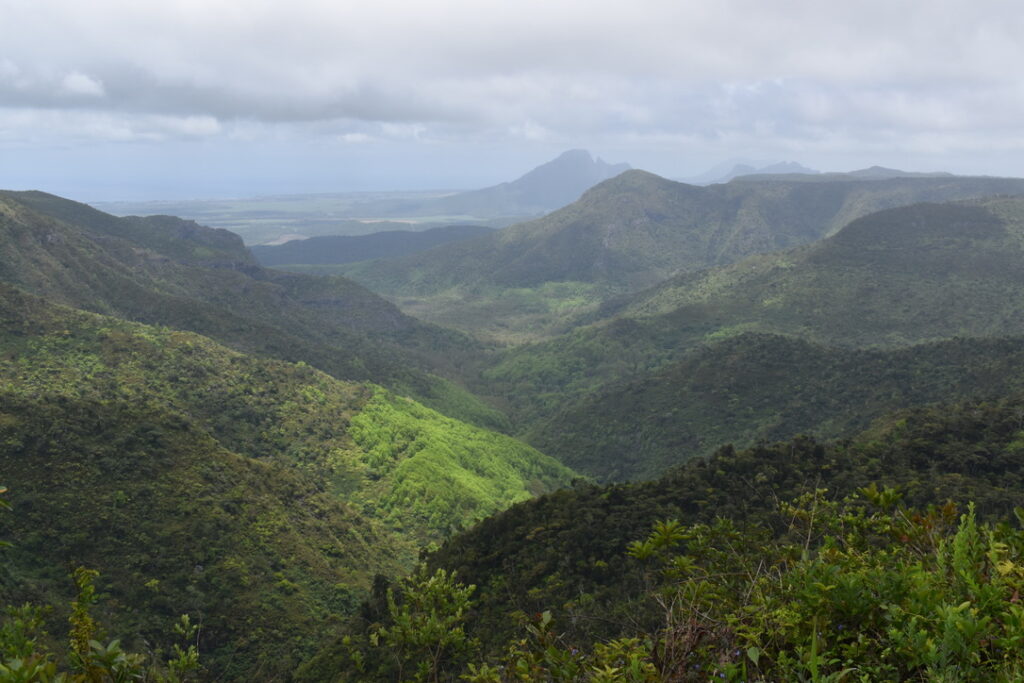Gorges de la Rivière Noire