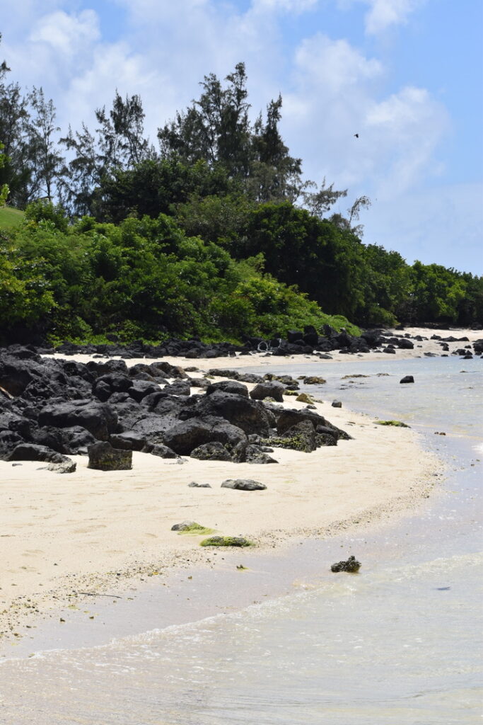 Ile aux cerfs