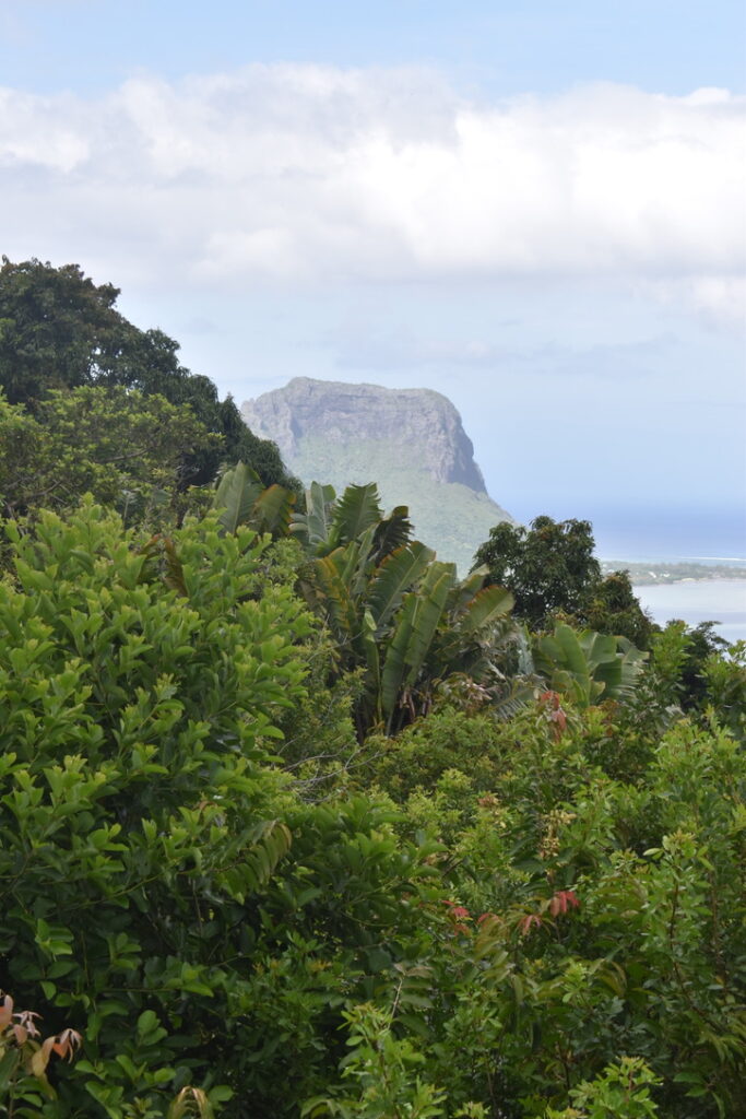 Morne Brabant Ile Maurice
