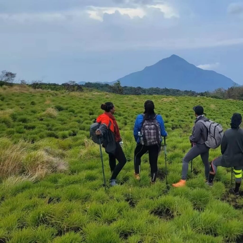 Randonnée au Mont Cameroun