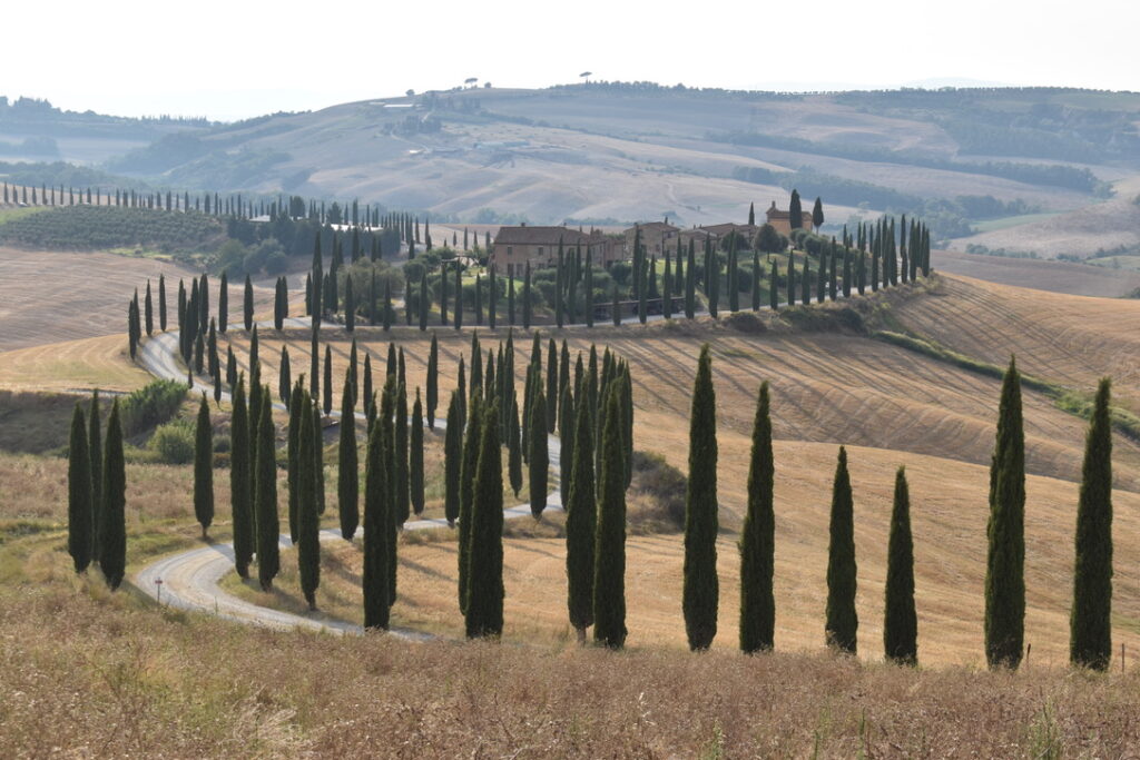 Agriturismo Baccoleno