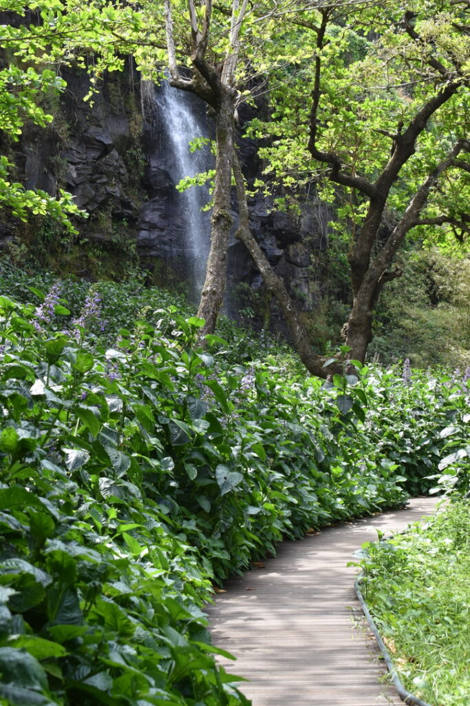 Anse des cascades Réunion