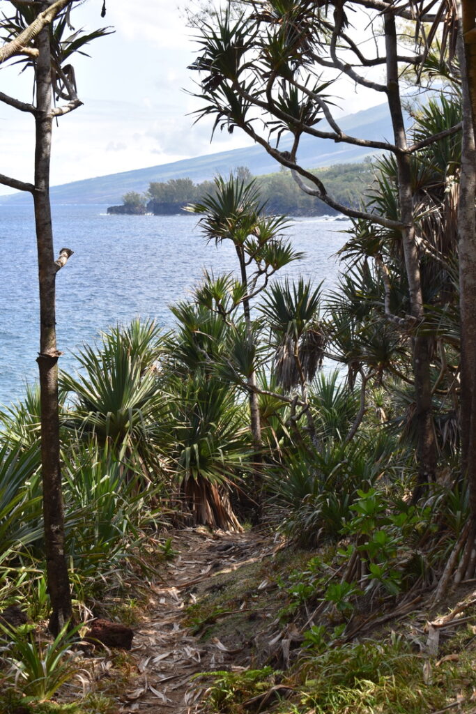 Anse des cascades Réunion