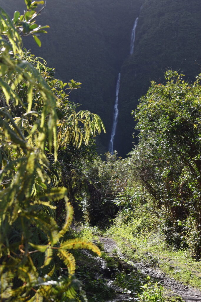 Cascade Biberon