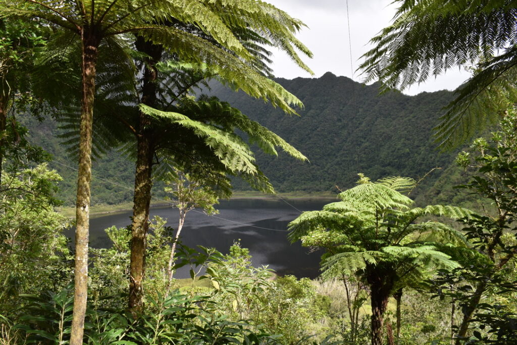 Grand Etang Réunion