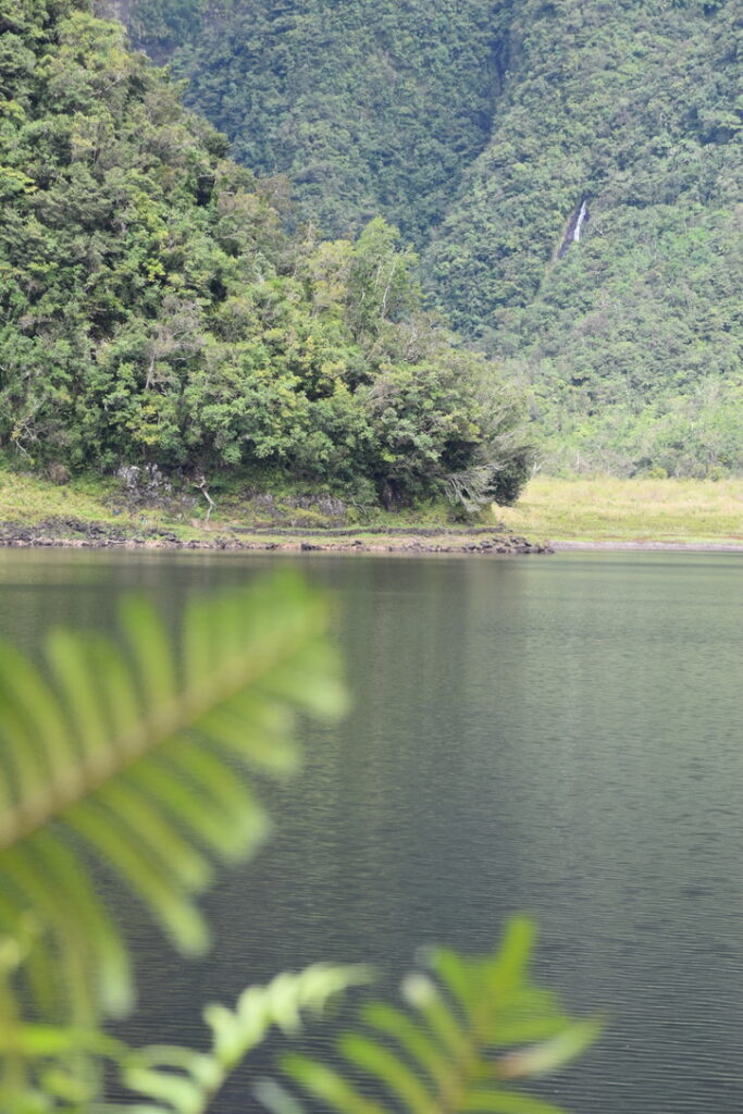 Grand Etang Réunion