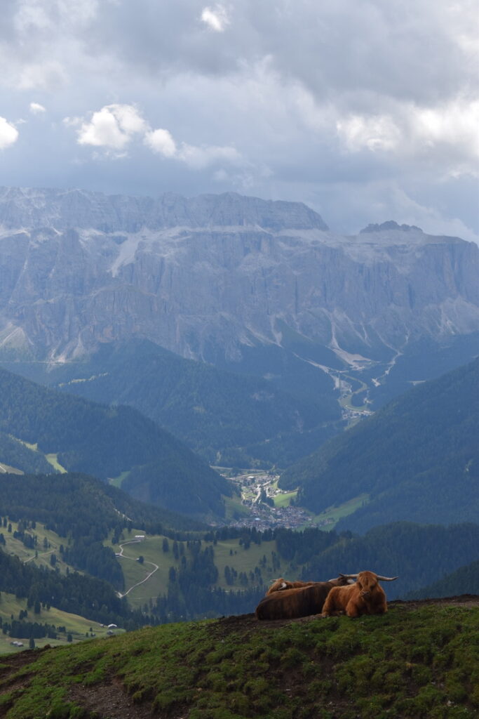 Vue Seceda