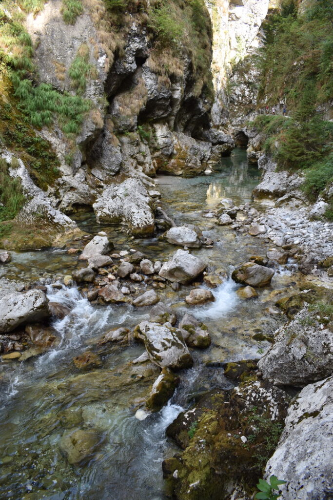 gorges de Tolmin