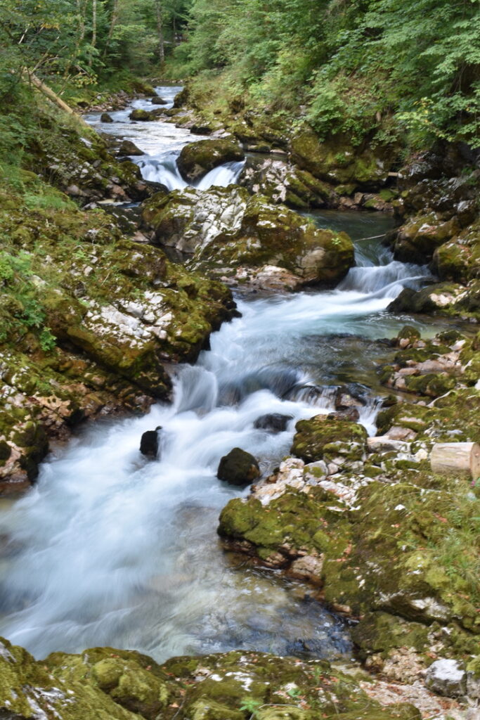 gorges de Vintgar