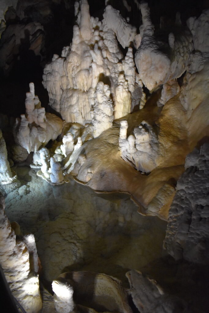 Grottes de Postojna