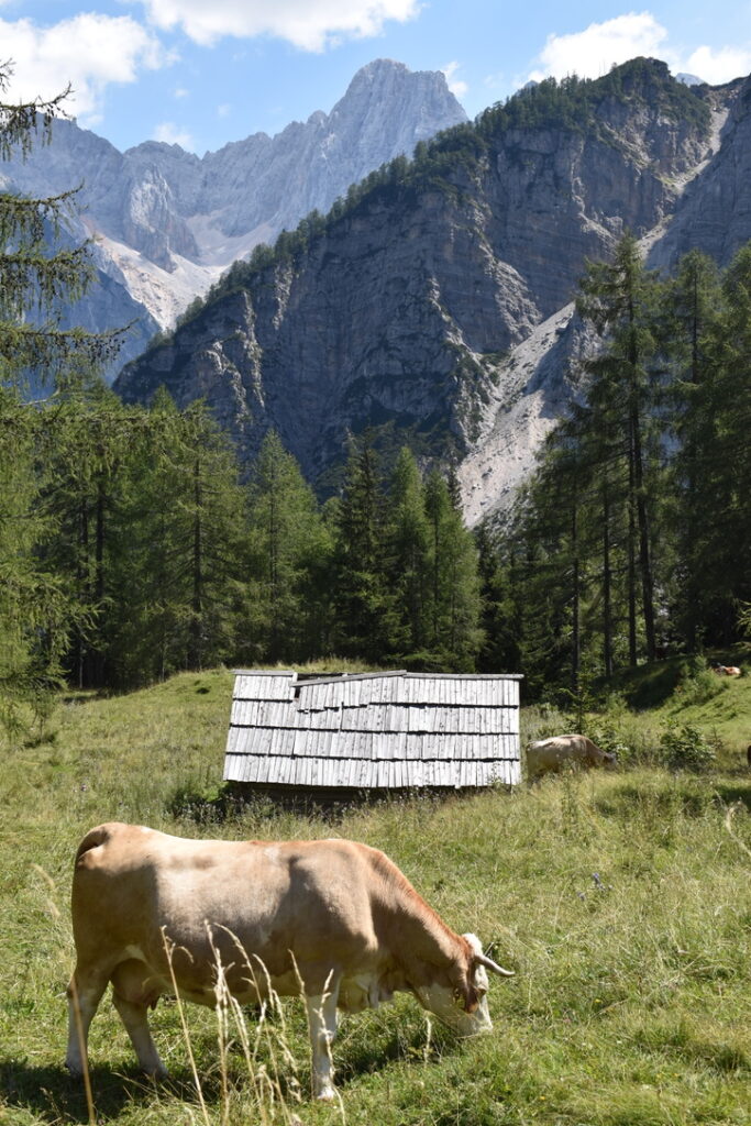 col de Vršič