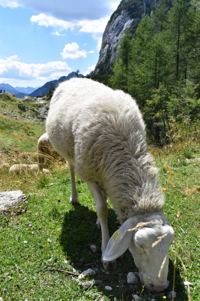 col de Vršič